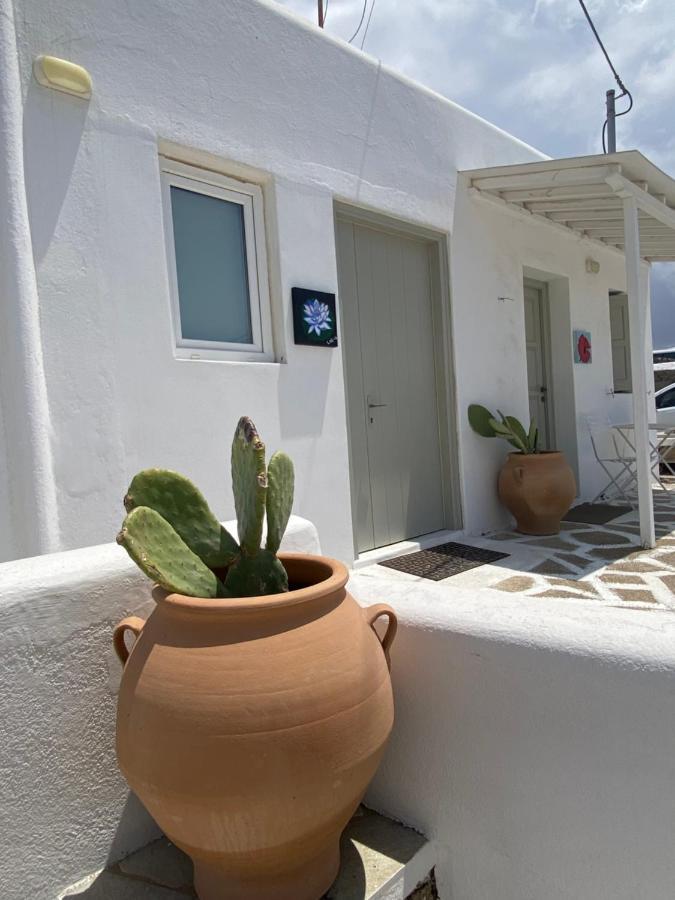 Sing And Blossom Accommodation Mykonos Town Exterior foto